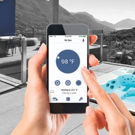 Гидромассажный спа-бассейн Wellis Vienna Life Premium